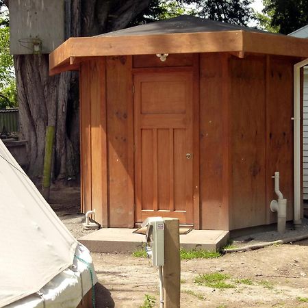 Wacky Stays - Unique Farm-Stay Glamping Rentals, Free Animal Feeding Tours Kaikoura Ngoại thất bức ảnh