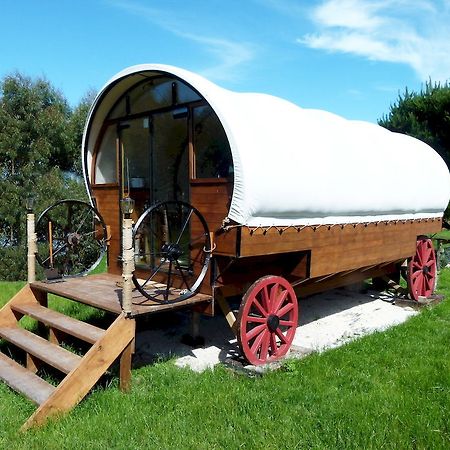 Wacky Stays - Unique Farm-Stay Glamping Rentals, Free Animal Feeding Tours Kaikoura Ngoại thất bức ảnh