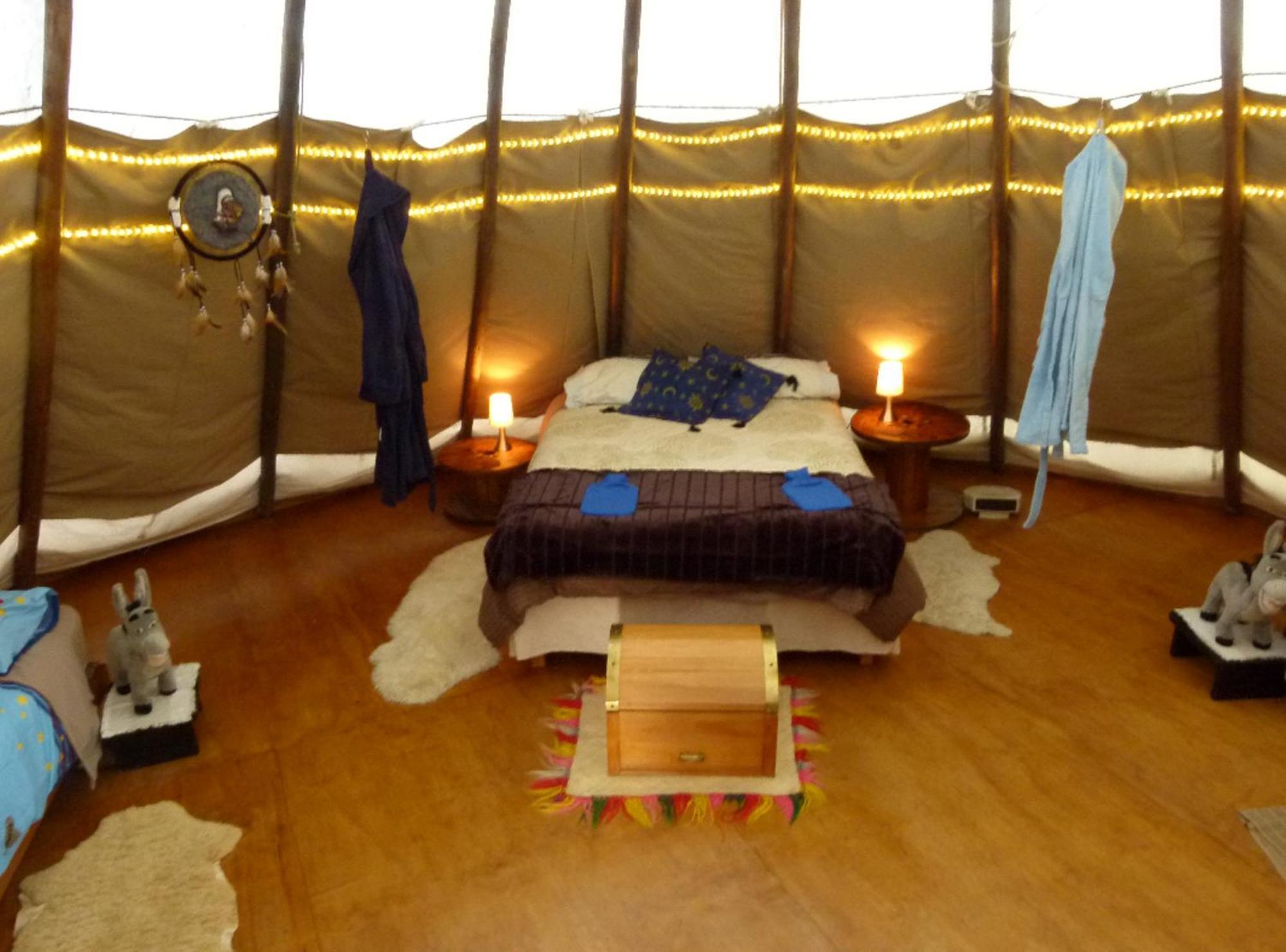 Wacky Stays - Unique Farm-Stay Glamping Rentals, Free Animal Feeding Tours Kaikoura Ngoại thất bức ảnh