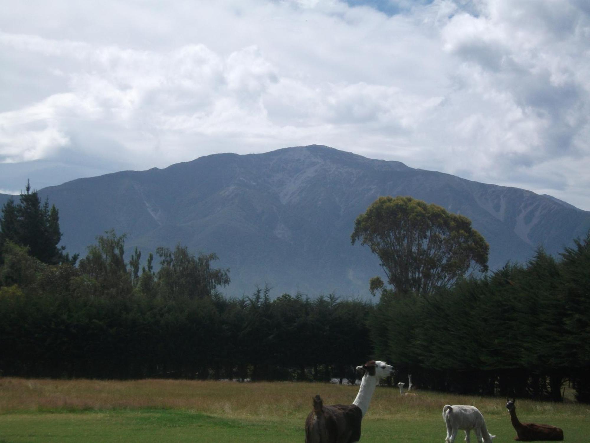 Wacky Stays - Unique Farm-Stay Glamping Rentals, Free Animal Feeding Tours Kaikoura Ngoại thất bức ảnh