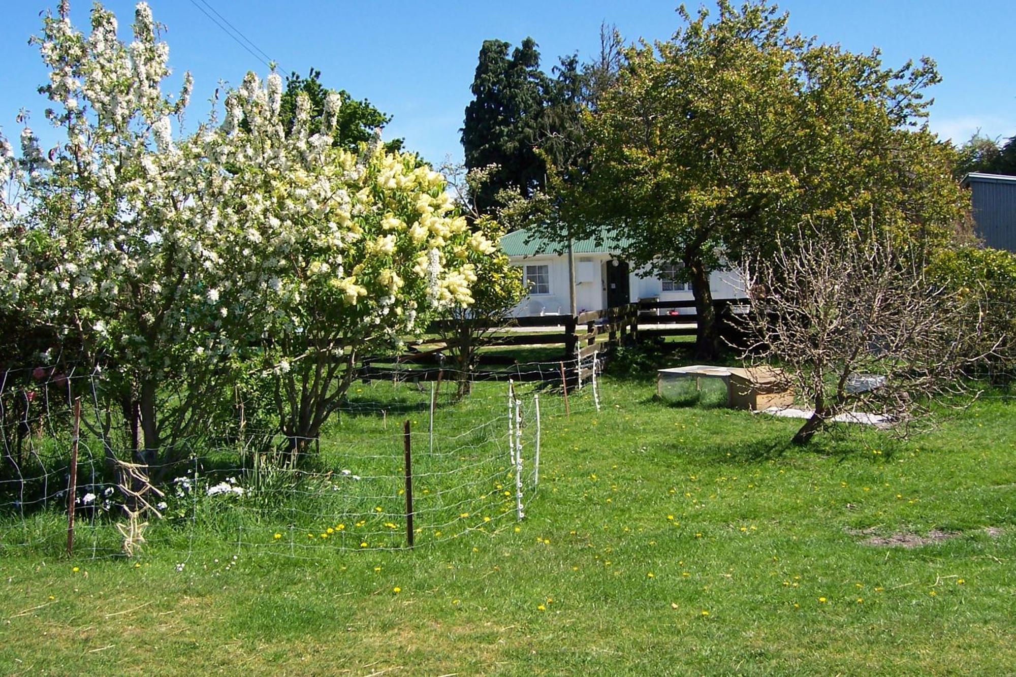 Wacky Stays - Unique Farm-Stay Glamping Rentals, Free Animal Feeding Tours Kaikoura Ngoại thất bức ảnh