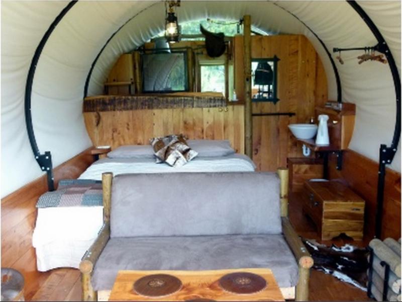 Wacky Stays - Unique Farm-Stay Glamping Rentals, Free Animal Feeding Tours Kaikoura Ngoại thất bức ảnh