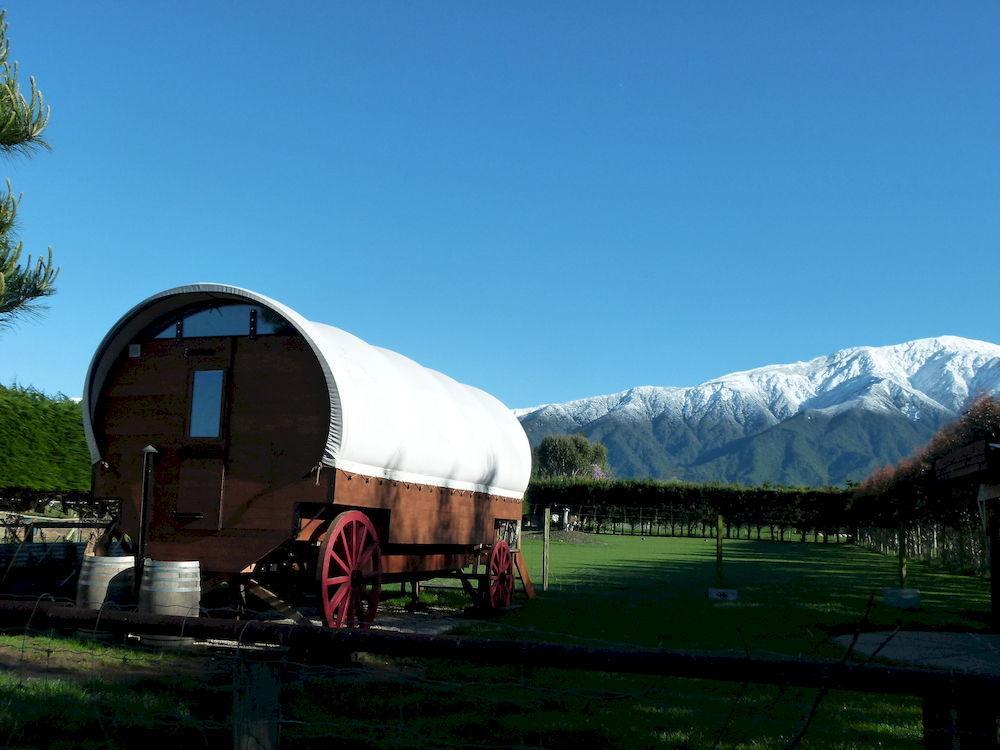 Wacky Stays - Unique Farm-Stay Glamping Rentals, Free Animal Feeding Tours Kaikoura Ngoại thất bức ảnh