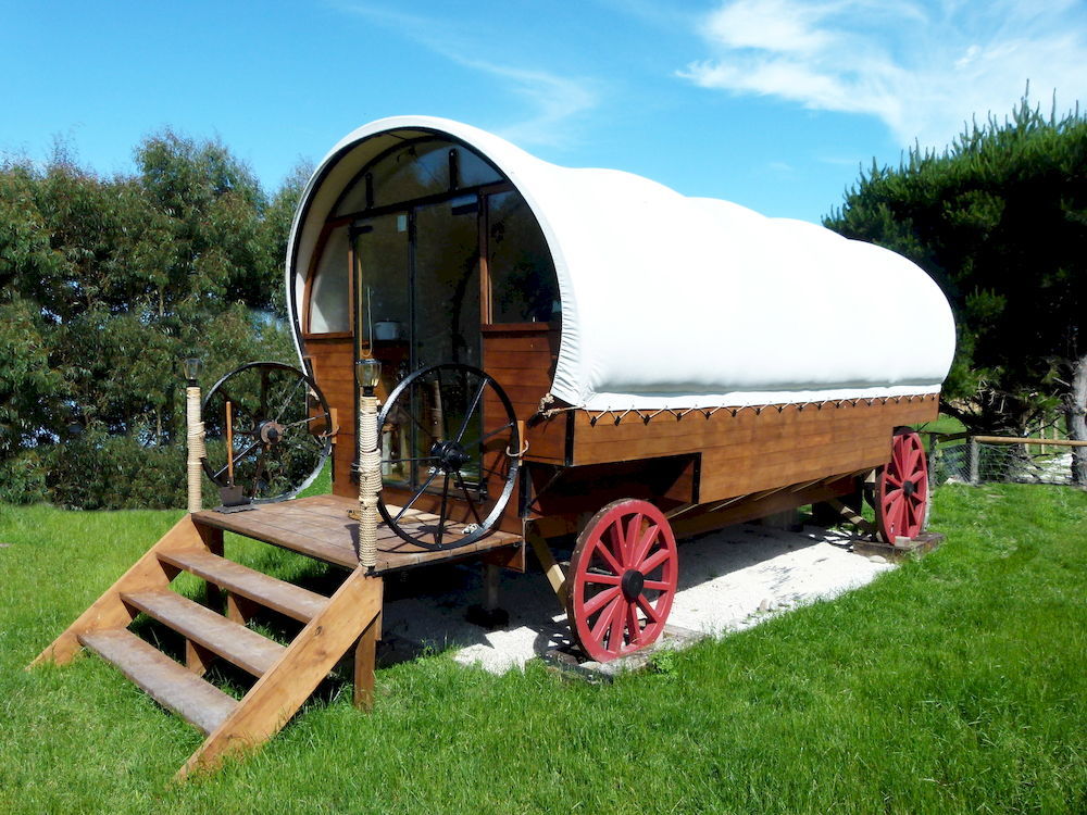 Wacky Stays - Unique Farm-Stay Glamping Rentals, Free Animal Feeding Tours Kaikoura Ngoại thất bức ảnh