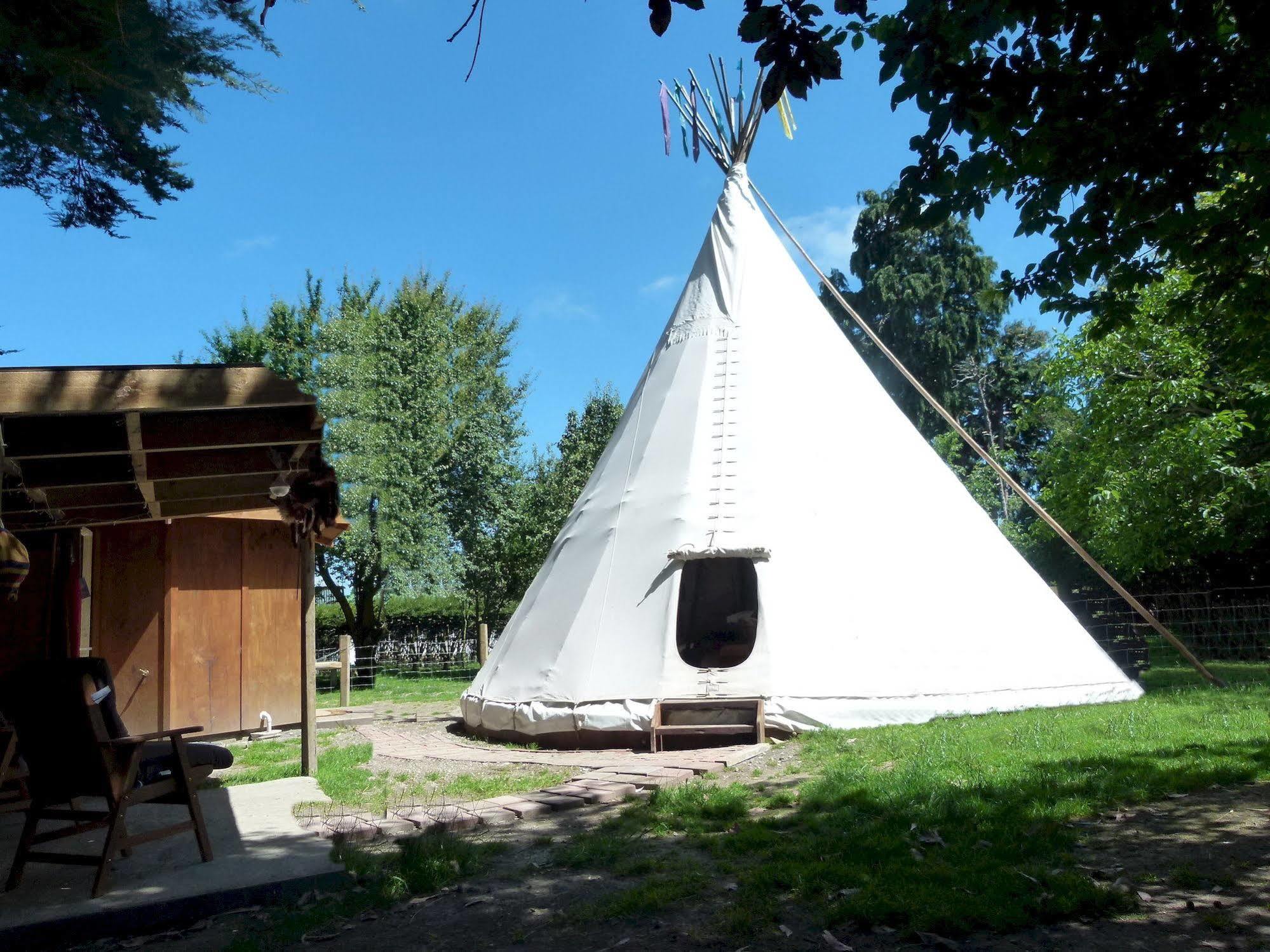 Wacky Stays - Unique Farm-Stay Glamping Rentals, Free Animal Feeding Tours Kaikoura Ngoại thất bức ảnh