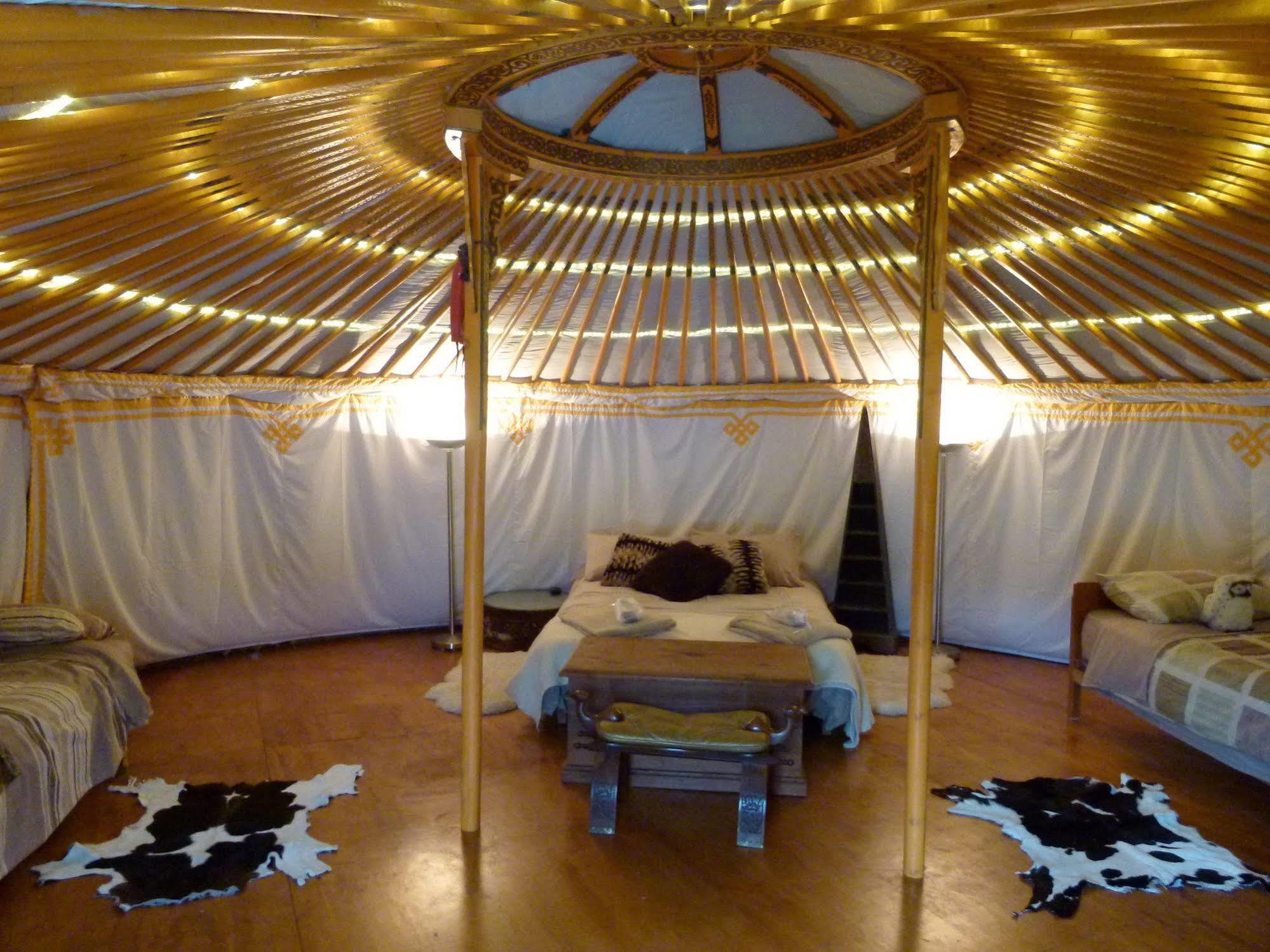 Wacky Stays - Unique Farm-Stay Glamping Rentals, Free Animal Feeding Tours Kaikoura Ngoại thất bức ảnh
