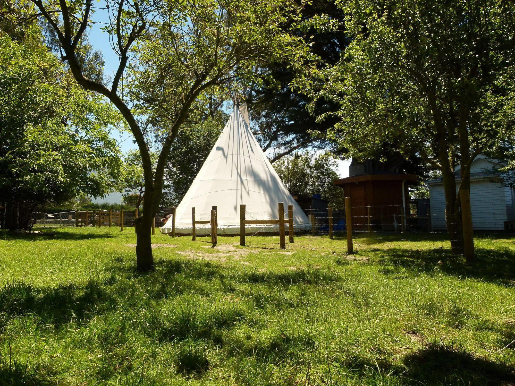 Wacky Stays - Unique Farm-Stay Glamping Rentals, Free Animal Feeding Tours Kaikoura Ngoại thất bức ảnh