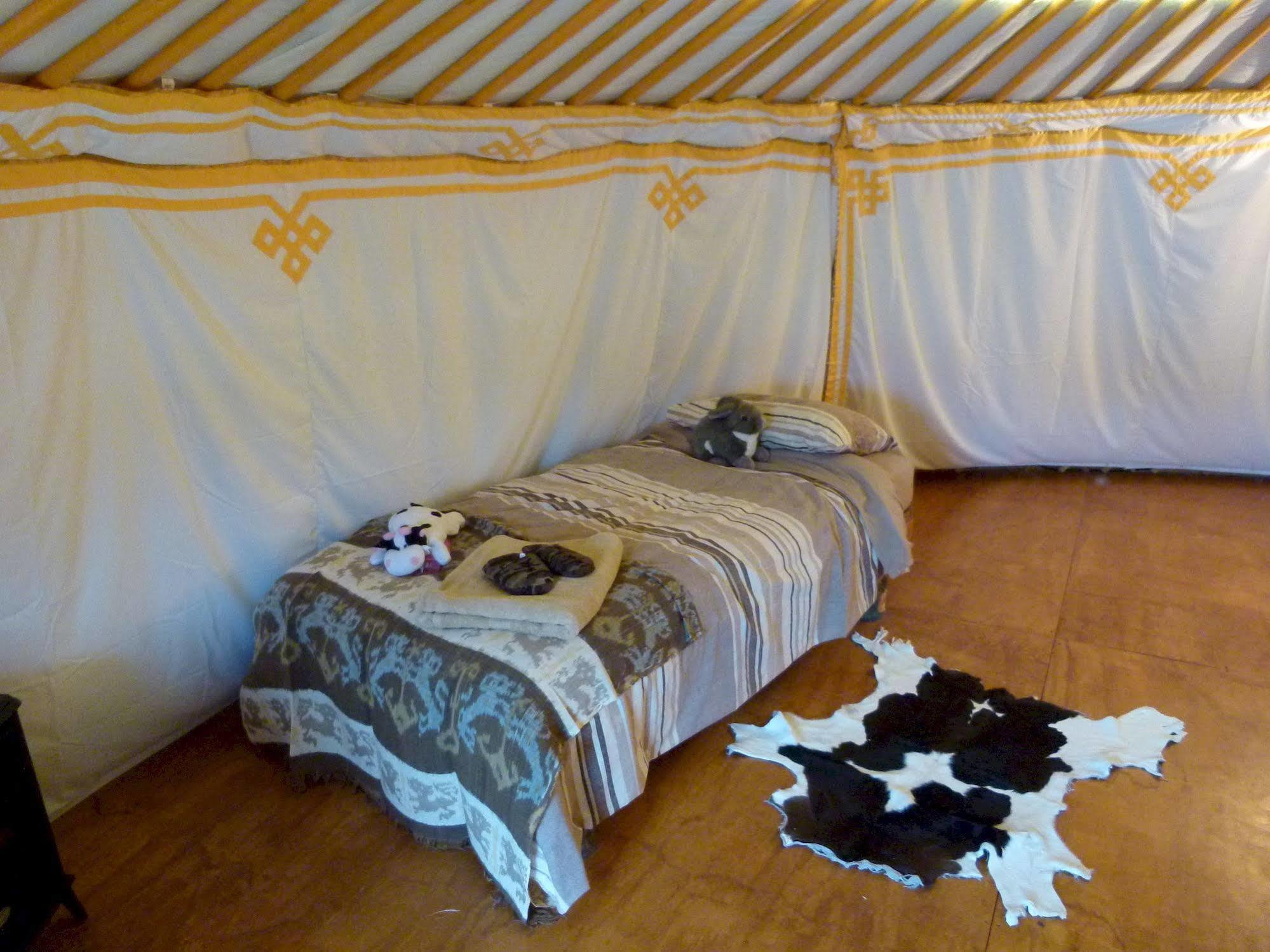 Wacky Stays - Unique Farm-Stay Glamping Rentals, Free Animal Feeding Tours Kaikoura Ngoại thất bức ảnh