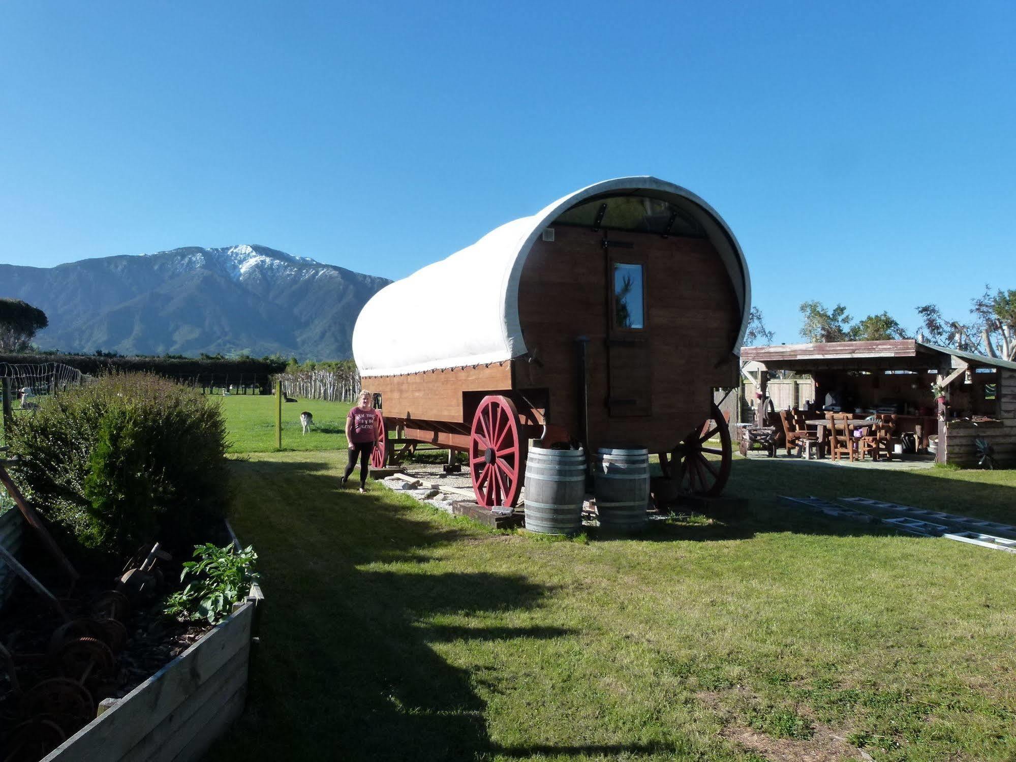 Wacky Stays - Unique Farm-Stay Glamping Rentals, Free Animal Feeding Tours Kaikoura Ngoại thất bức ảnh